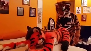 Two fursuit tigers breed